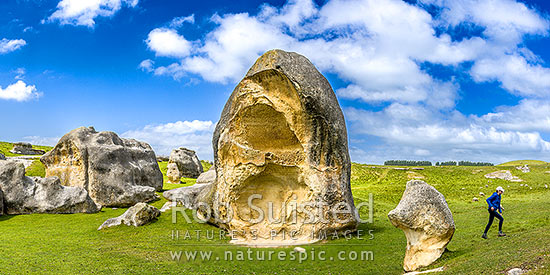 Elephant Rocks limestone site in the Waitaki Whitestone Geopark, Maerewhenua. Panorama of the uplifted weathered marine limestone, Duntroon, Waitaki District, Canterbury Region, New Zealand (NZ)