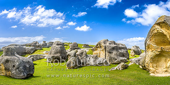 Elephant Rocks limestone site in the Waitaki Whitestone Geopark, Maerewhenua. Panorama of the uplifted weathered marine limestone, Duntroon, Waitaki District, Canterbury Region, New Zealand (NZ)