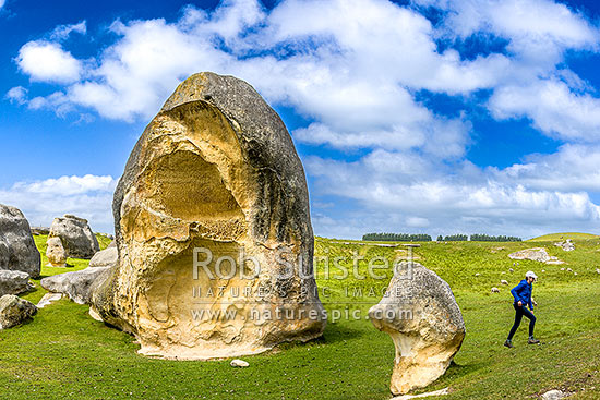 Elephant Rocks limestone site in the Waitaki Whitestone Geopark, Maerewhenua. Visitors viewing the uplifted weathered marine limestone outcrops, Duntroon, Waitaki District, Canterbury Region, New Zealand (NZ)