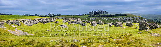 Elephant Rocks limestone site in the Waitaki Whitestone Geopark, Maerewhenua. Uplifted weathered marine limestone outcrops, Duntroon, Waitaki District, Canterbury Region, New Zealand (NZ)