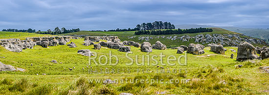 Elephant Rocks limestone site in the Waitaki Whitestone Geopark, Maerewhenua. Panorama of the uplifted weathered marine limestone, Duntroon, Waitaki District, Canterbury Region, New Zealand (NZ)