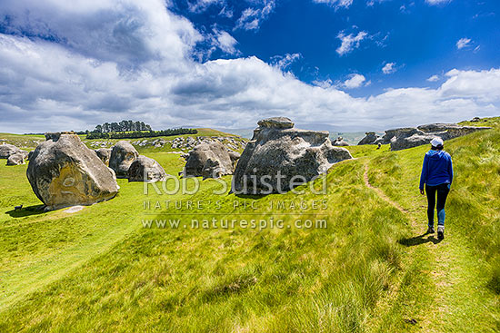 Elephant Rocks limestone site in the Waitaki Whitestone Geopark, Maerewhenua. Visitors viewing the uplifted weathered marine limestone outcrops, Duntroon, Waitaki District, Canterbury Region, New Zealand (NZ)