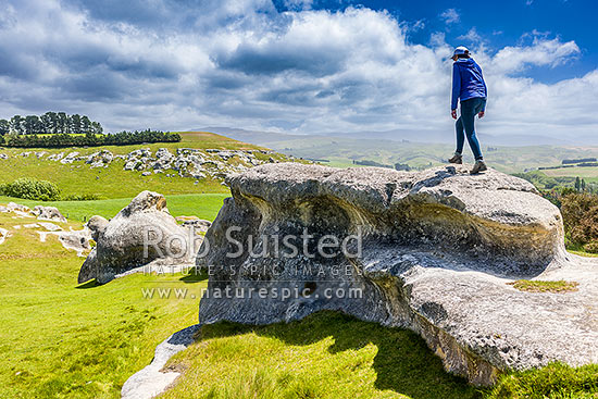 Elephant Rocks limestone site in the Waitaki Whitestone Geopark, Maerewhenua. Visitors viewing the uplifted weathered marine limestone outcrops, Duntroon, Waitaki District, Canterbury Region, New Zealand (NZ)