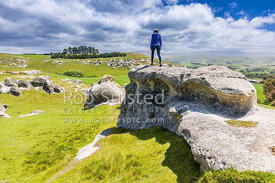 Elephant Rocks limestone site in the Waitaki Whitestone Geopark, Maerewhenua. Visitors viewing the uplifted weathered marine limestone outcrops, Duntroon, Waitaki District, Canterbury Region, New Zealand (NZ)