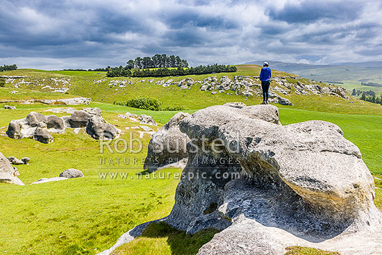 Elephant Rocks limestone site in the Waitaki Whitestone Geopark, Maerewhenua. Visitors viewing the uplifted weathered marine limestone outcrops, Duntroon, Waitaki District, Canterbury Region, New Zealand (NZ)