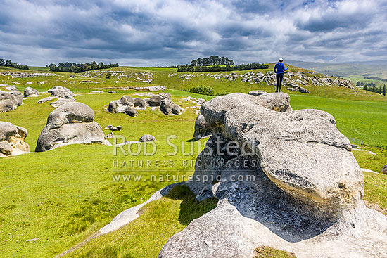 Elephant Rocks limestone site in the Waitaki Whitestone Geopark, Maerewhenua. Visitors viewing the uplifted weathered marine limestone outcrops, Duntroon, Waitaki District, Canterbury Region, New Zealand (NZ)