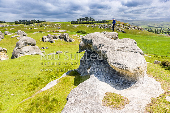 Elephant Rocks limestone site in the Waitaki Whitestone Geopark, Maerewhenua. Visitors viewing the uplifted weathered marine limestone outcrops, Duntroon, Waitaki District, Canterbury Region, New Zealand (NZ)