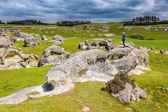 Elephant Rocks limestone site in the Waitaki Whitestone Geopark, Maerewhenua. Visitors viewing the uplifted weathered marine limestone outcrops, Duntroon, Waitaki District, Canterbury Region, New Zealand (NZ)