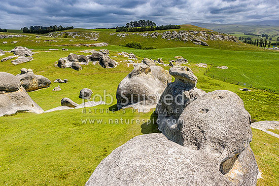 Elephant Rocks limestone site in the Waitaki Whitestone Geopark, Maerewhenua. Uplifted weathered marine limestone outcrops, Duntroon, Waitaki District, Canterbury Region, New Zealand (NZ)