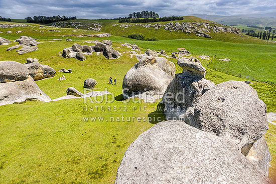 Elephant Rocks limestone site in the Waitaki Whitestone Geopark, Maerewhenua. Visitors viewing the uplifted weathered marine limestone outcrops, Duntroon, Waitaki District, Canterbury Region, New Zealand (NZ)