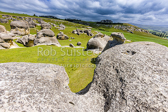 Elephant Rocks limestone site in the Waitaki Whitestone Geopark, Maerewhenua. Uplifted weathered marine limestone outcrops, Duntroon, Waitaki District, Canterbury Region, New Zealand (NZ)