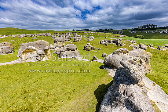 Elephant Rocks limestone site in the Waitaki Whitestone Geopark, Maerewhenua. Uplifted weathered marine limestone outcrops, Duntroon, Waitaki District, Canterbury Region, New Zealand (NZ)