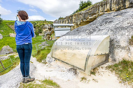 Anatini, a site containing ancient 25 million year old whale fossil bones in the Waitaki Whitestone UNESCO Geopark, protected by cover, Duntroon, Waitaki District, Canterbury Region, New Zealand (NZ)