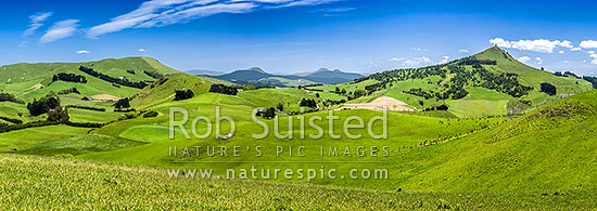 Rural lush farmland panorama near Goodwood with rolling hills and paddocks. Mt Puketapu (343m) a local landmark with McKenzie memorial on summit at right, Mt Royal left, Palmerston, Waitaki District, Canterbury Region, New Zealand (NZ)