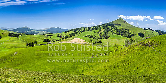 Rural lush farmland panorama near Goodwood with rolling hills and paddocks. Mt Puketapu (343m) a local landmark with McKenzie memorial on summit at right, Palmerston, Waitaki District, Canterbury Region, New Zealand (NZ)