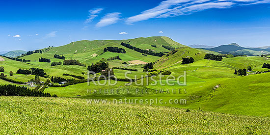 Rural lush farmland panorama near Goodwood with rolling hills and paddocks. Mt Royal (319m) centre, Palmerston, Waitaki District, Canterbury Region, New Zealand (NZ)