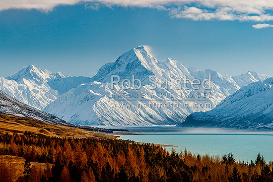 Aoraki / Mount Cook (3754m) and Lake Pukaki in winter. Mt La Perouse (3078m) left, Tasman Valley and Burnett Mountains Range right. Late autumn colours, similar to 38773, Aoraki / Mount Cook National Park, MacKenzie District, Canterbury Region, New Zealand (NZ)