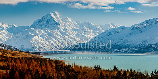 Aoraki / Mount Cook (3754m) and Lake Pukaki in winter. Tasman Valley and Burnett Mountains Range right. Panorama with late autumn colours, Aoraki / Mount Cook National Park, MacKenzie District, Canterbury Region, New Zealand (NZ)