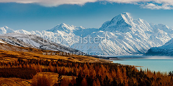 Aoraki / Mount Cook (3754m) and Lake Pukaki in winter. Mt La Perouse (3078m) left, Tasman Valley far right. Panorama with late autumn colours, Aoraki / Mount Cook National Park, MacKenzie District, Canterbury Region, New Zealand (NZ)