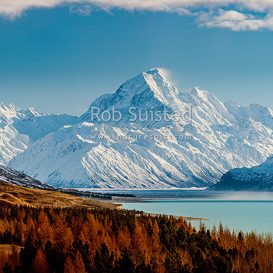 Aoraki / Mount Cook (3754m) and Lake Pukaki in winter. Mt La Perouse (3078m) left, Tasman Valley and Burnett Mountains Range right. Sqaure format with late autumn colours, similar to 65865, Aoraki / Mount Cook National Park, MacKenzie District, Canterbury Region, New Zealand (NZ)