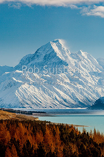 Aoraki / Mount Cook (3754m) and Lake Pukaki in winter. Mt La Perouse (3078m) left, Tasman Valley and Burnett Mountains Range right. Late autumn colours, similar to 65867, Aoraki / Mount Cook National Park, MacKenzie District, Canterbury Region, New Zealand (NZ)