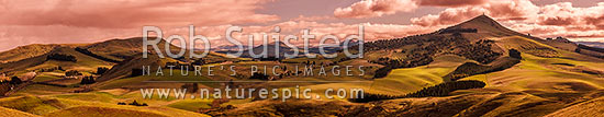 North Otago farmland at Goodwood with Puketapu Hill (344m) right with Sir John McKenzie Monument. Panorama. Similar to 39924 with different light, Palmerston, Waitaki District, Canterbury Region, New Zealand (NZ)