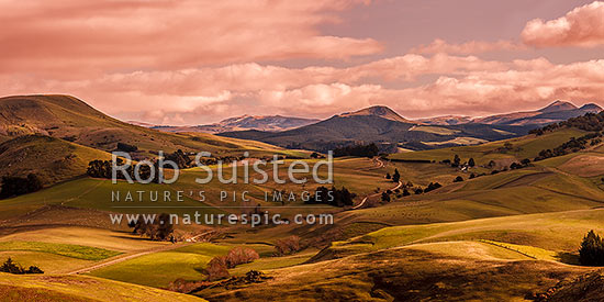 North Otago farmland near Goodwood. Similar to 39924 with different light, Palmerston, Waitaki District, Canterbury Region, New Zealand (NZ)