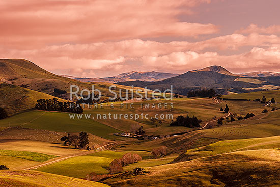 North Otago farmland near Goodwood. Similar to 39924 with different light, Palmerston, Waitaki District, Canterbury Region, New Zealand (NZ)