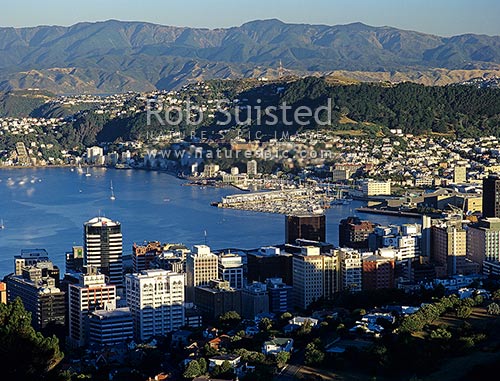 Wellington City & Harbour, from Northland, Wellington, Wellington City District, Wellington Region, New Zealand (NZ)