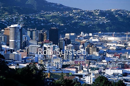 Wellington City from Brooklyn - with Westpac Stadium at right, Wellington, Wellington City District, Wellington Region, New Zealand (NZ)