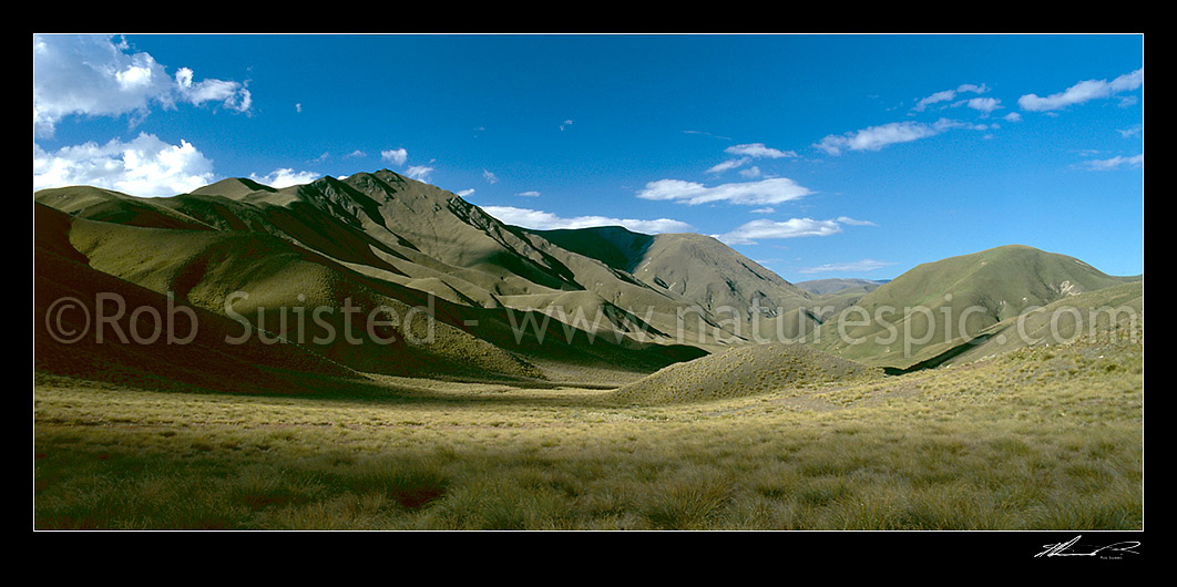 Image of Lindis Pass tussock hill country, Central Otago, Central Otago District, Otago Region, New Zealand (NZ) stock photo image