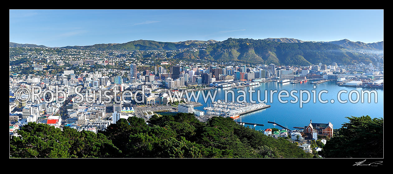 Image of Wellington City and Harbour from Mount Victoria on a still autumn morning. Panorama, Wellington, Wellington City District, Wellington Region, New Zealand (NZ) stock photo image