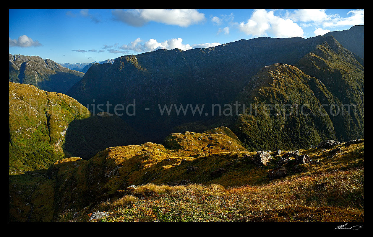 Image of Wapiti River tops. Looking down the Massacre Gully tributary towards Lake Hankinson from the Edith River Saddle. Glaisnock Wilderness Area, Fiordland National Park, Southland District, Southland Region, New Zealand (NZ) stock photo image