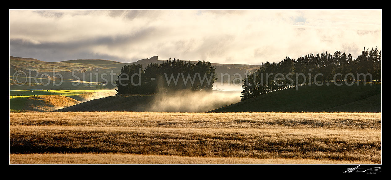 Image of Farmland with early morning mist over rolling hills and pasture at dawn. Panorama, The Key, Te Anau, Southland District, Southland Region, New Zealand (NZ) stock photo image