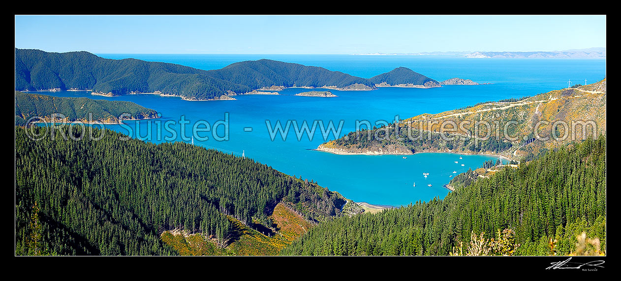 Image of Port Underwood and Oyster Bay panorama with Cloudy Bay, Cape Campbell and White Bluffs / Te Parinui o Whiti distant, Marlborough Sounds, Marlborough District, Marlborough Region, New Zealand (NZ) stock photo image