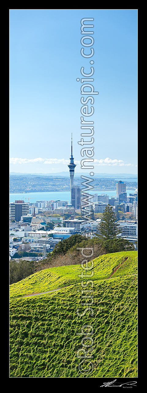 Auckland City and Waitemata Harbour from Mount Eden (Maungawhau ...