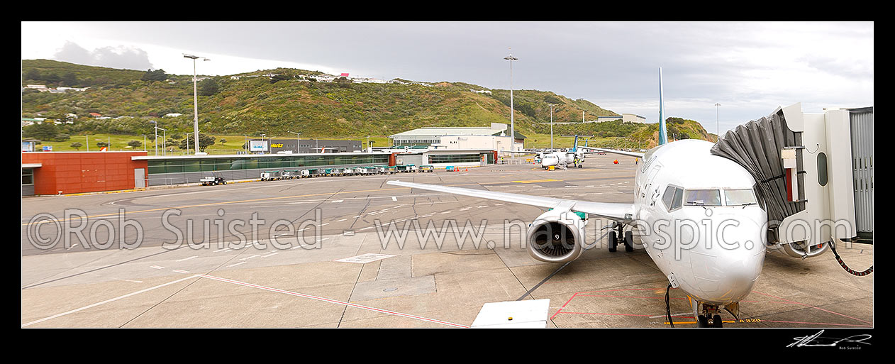 Image of Wellington Airport panorama of Air New Zealand Boeing 737-300 and ATR from departure gate, Wellingon, Wellington City District, Wellington Region, New Zealand (NZ) stock photo image