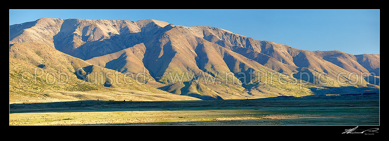 Image of Boddington Range panorama in evening light, above Sedgemere and Tarndale wetland, Molesworth Station, Marlborough District, Marlborough Region, New Zealand (NZ) stock photo image