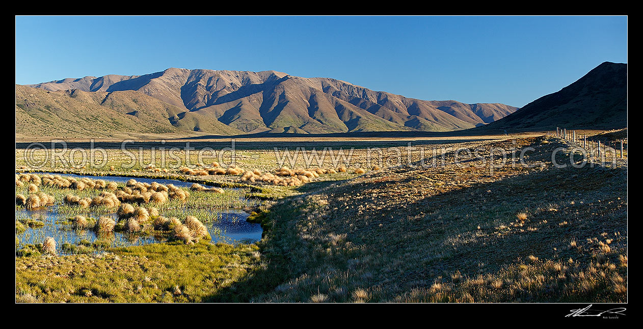 Image of Lake Sedgemere and wetland with the Boddington Range behind. Tarndale panorama, Molesworth Station, Marlborough District, Marlborough Region, New Zealand (NZ) stock photo image