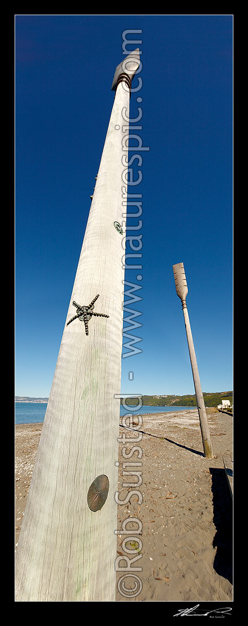 Image of Oars sculpture on Petone Beach called 'Salute' by John Calvert 2003, recognising those who arrived on Petone's shores. Vertical panorama, Petone, Hutt City District, Wellington Region, New Zealand (NZ) stock photo image