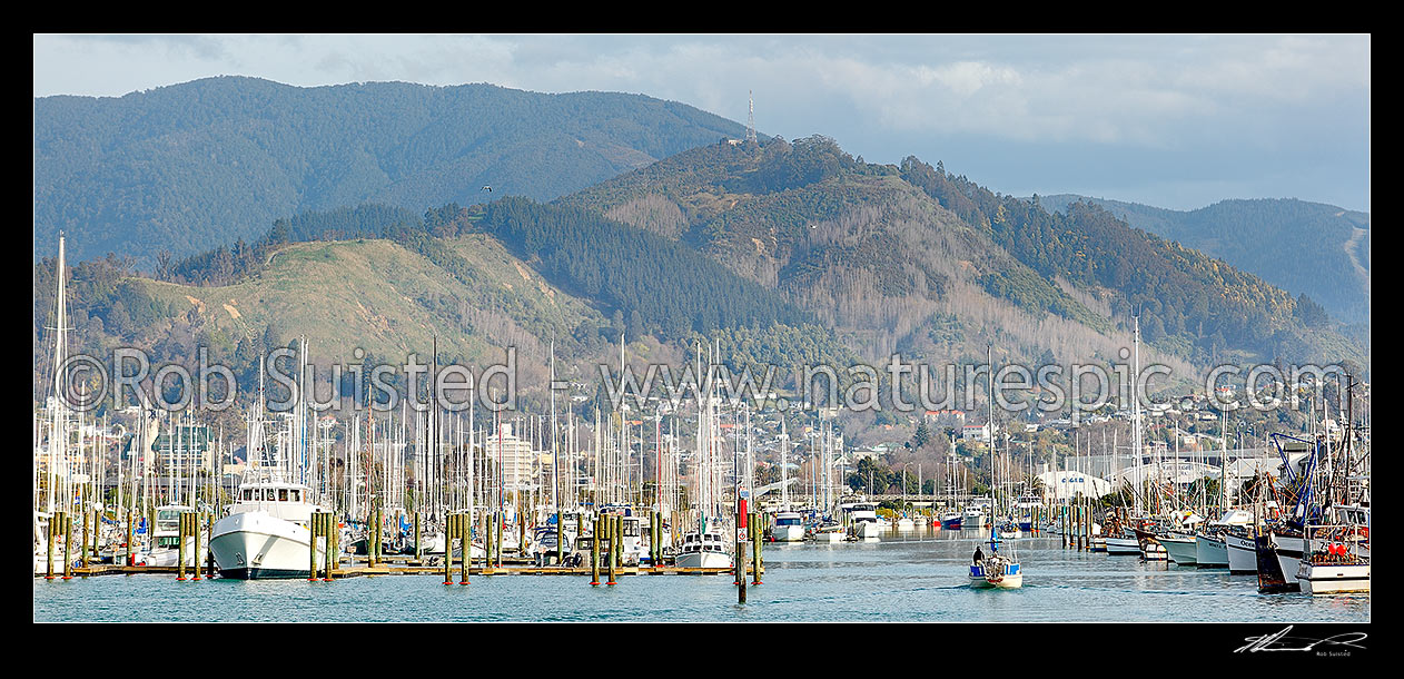 Port Nelson with commercial wharf and boat marina, with yacht entering ...