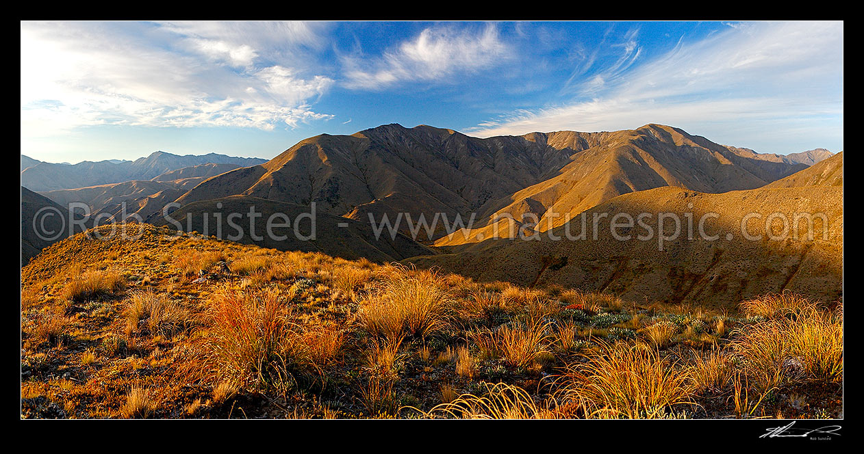 Image of Yarra River valley headwaters at sunrise. Yarra Saddle left (obscured), Mt Northhampton (1627m centre) and Alma Saddle far right. Panorama, Molesworth Station, Marlborough District, Marlborough Region, New Zealand (NZ) stock photo image