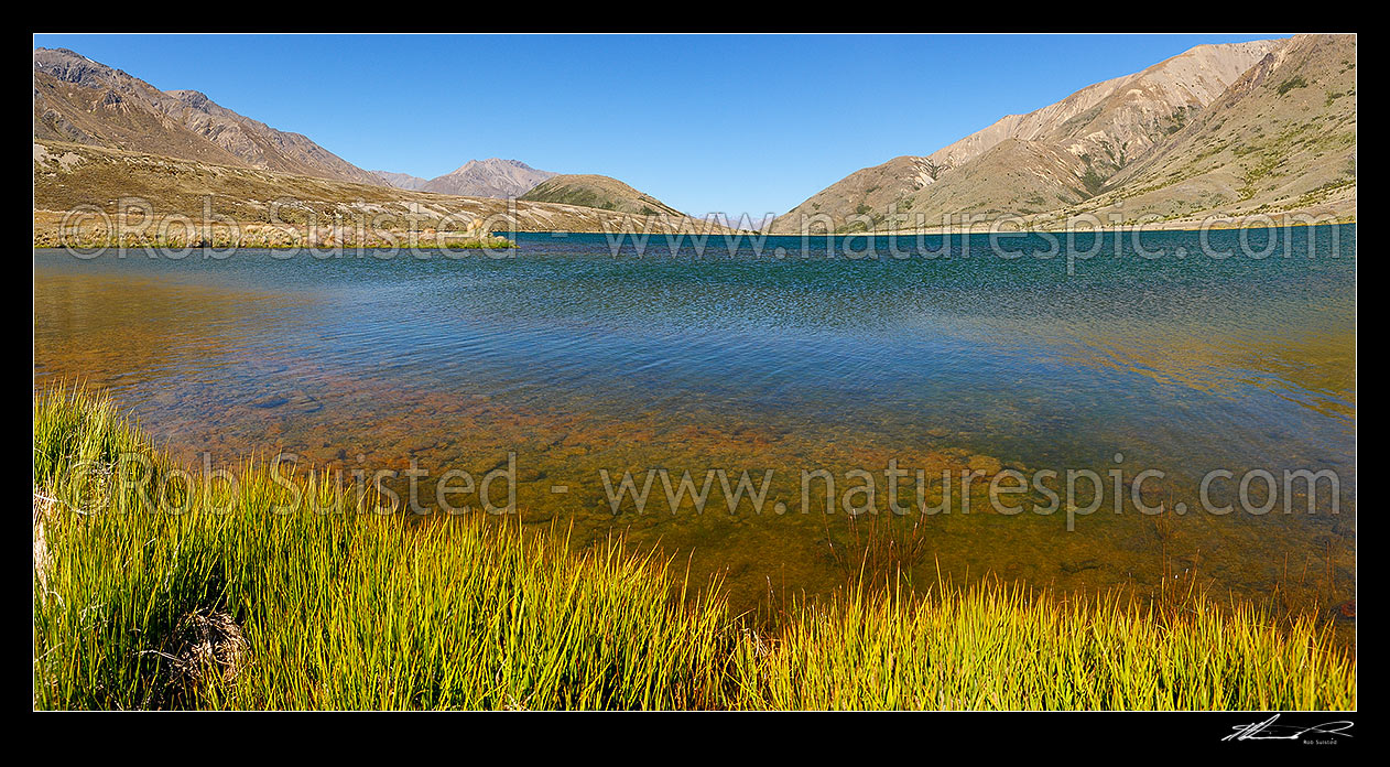 Image of Bowscale Tarn at Sedgemere Tarns, looking down Travellers Valley and Tarndale Brook to Mt Tapuae-O-Uenuku and Inland Kaikoura Ranges in distance. Panorama, Molesworth Station, Marlborough District, Marlborough Region, New Zealand (NZ) stock photo image