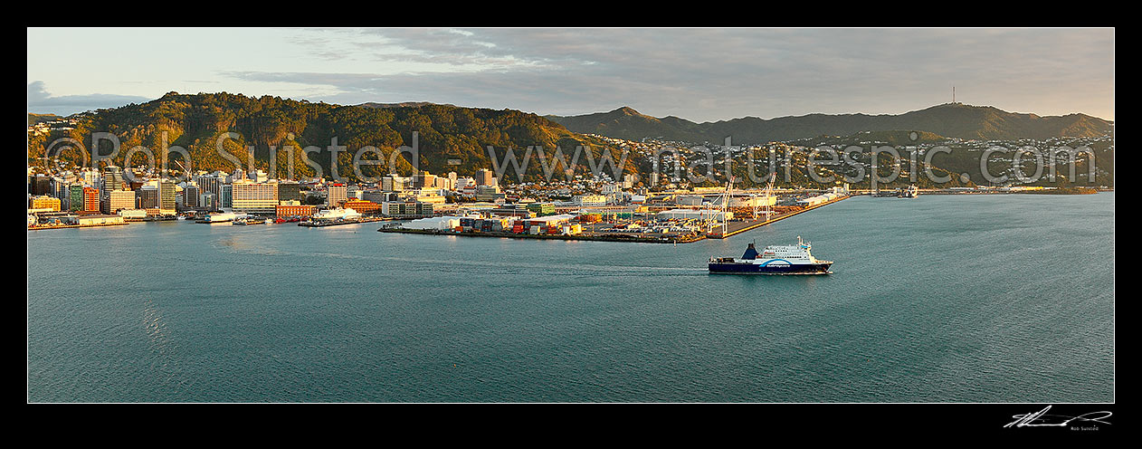 Image of Wellington City dawn panorama with CBD, Container terminal, with Bluebridge The Straitsman ferry sailing past Mt Kaukau (right), Wellington, Wellington City District, Wellington Region, New Zealand (NZ) stock photo image