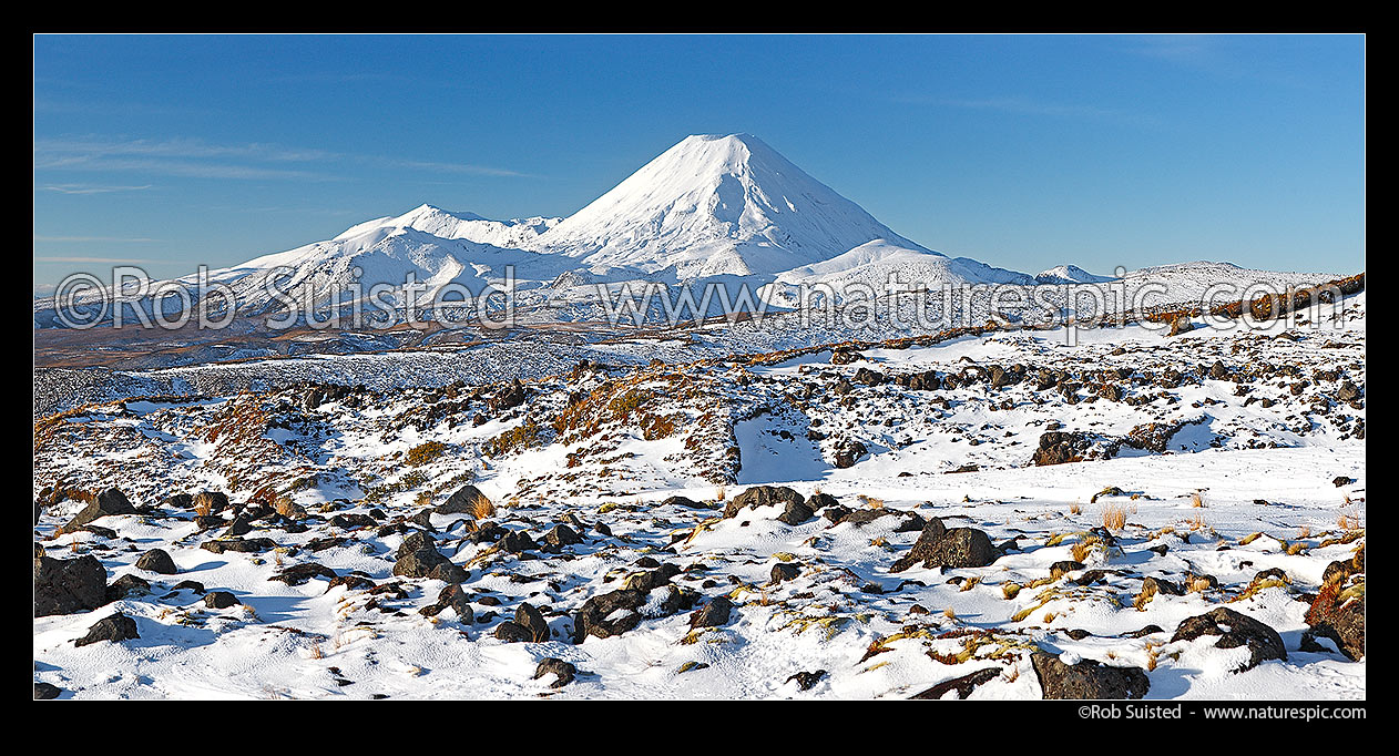 Image of Mount Ngauruhoe (2287m), distinctive volcanic cone in Tongariro National Park with Mt Tongariro (1967m) to left, panorama seen from Whakapapa in winter snow, Tongariro National Park, Ruapehu District, Manawatu-Wanganui Region, New Zealand (NZ) stock photo image