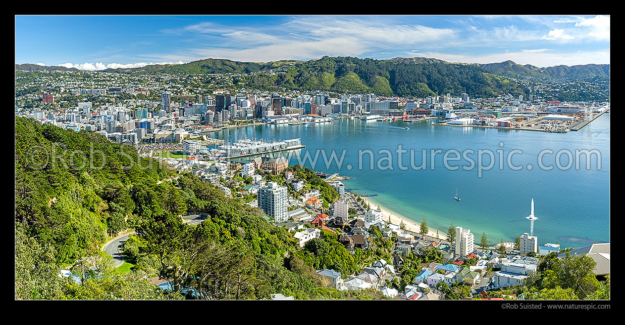 Image of Wellington City, Harbour, Te Papa, Chaffers Marina, Lambton Harbour, City Centre and Container Terminal seen from Mount Victoria. Carter Fountain playing off Oriental Bay beach. Panorama, Wellington City, Wellington City District, Wellington Region, New Zealand (NZ) stock photo image