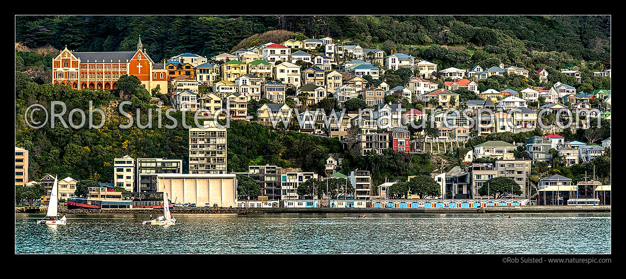 Image of Oriental Bay and Roseneath houses perched above boatsheds. St Gerards Monastery at left. Iconic panorama of Wellington homes, Wellington, Wellington City District, Wellington Region, New Zealand (NZ) stock photo image