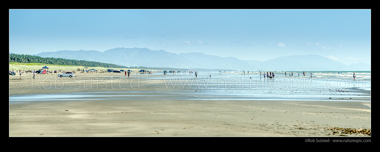 Image of Waitarere Beach full with people and cars on a hot summer day. Swimmers, walkers, fishers, kayakers, dog walkers. Panorama, Waitarere Beach, Levin, Horowhenua District, Manawatu-Wanganui Region, New Zealand (NZ) stock photo image