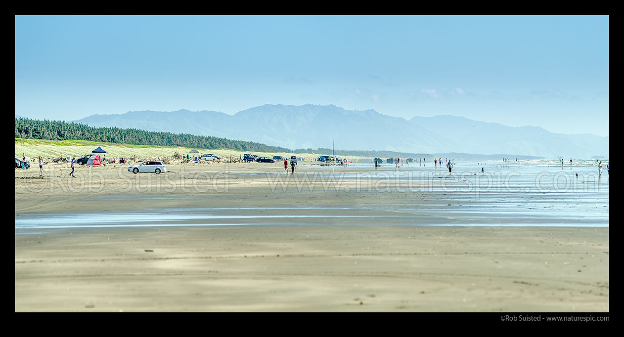 Image of Waitarere Beach full with people and cars on a hot summer day. Swimmers, walkers, surf casting fishers, kayakers, dog walkers. Panorama, Waitarere Beach, Levin, Horowhenua District, Manawatu-Wanganui Region, New Zealand (NZ) stock photo image