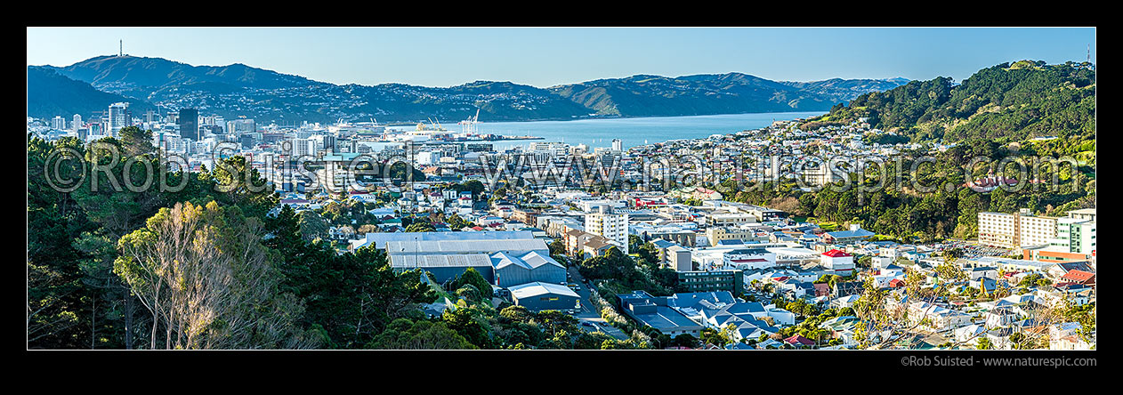 Image of Wellington City inner suburbs, looking from Newtown, past Basin Reserve towards the harbour. CBD and Mt Kaukau far left. Mt Victoria and Government House far right. Panorama, Wellington, Wellington City District, Wellington Region, New Zealand (NZ) stock photo image